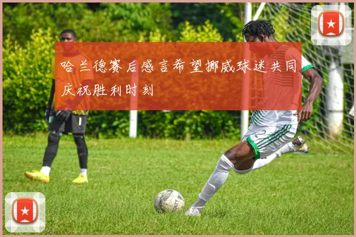 哈兰德赛后感言希望挪威球迷共同庆祝胜利时刻