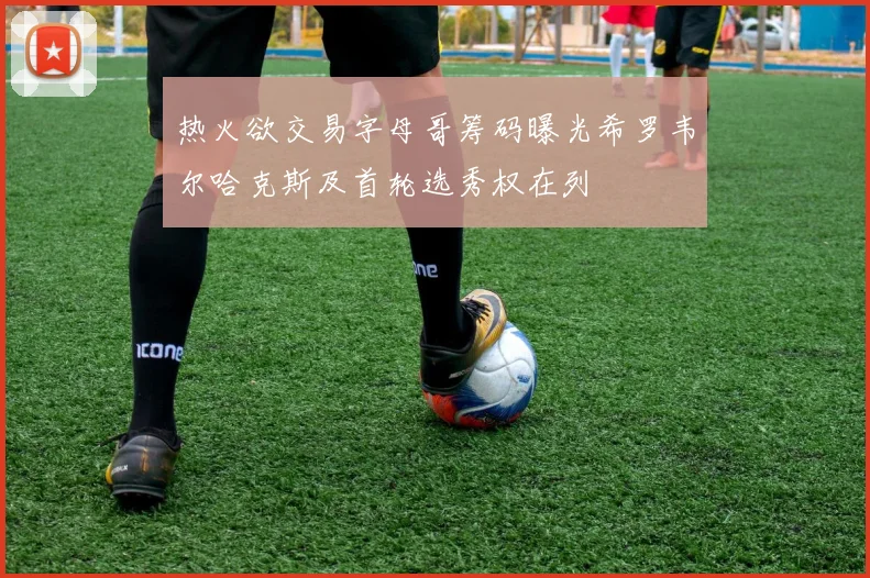 热火欲交易字母哥筹码曝光希罗韦尔哈克斯及首轮选秀权在列