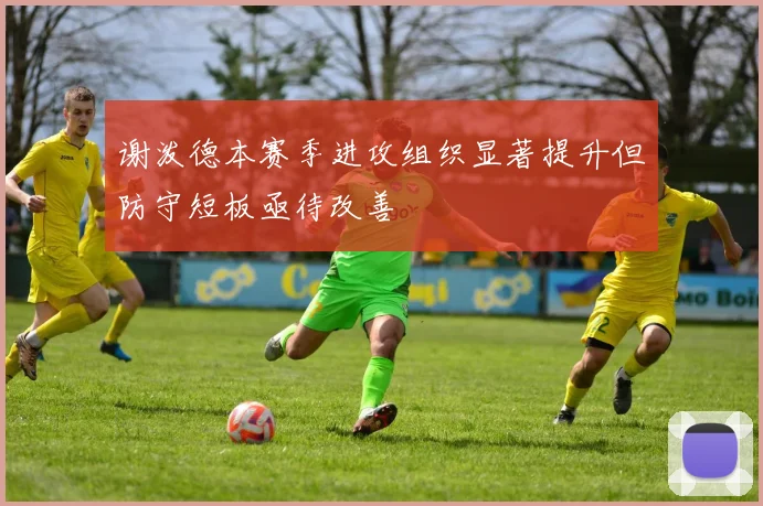 谢泼德本赛季进攻组织显著提升但防守短板亟待改善