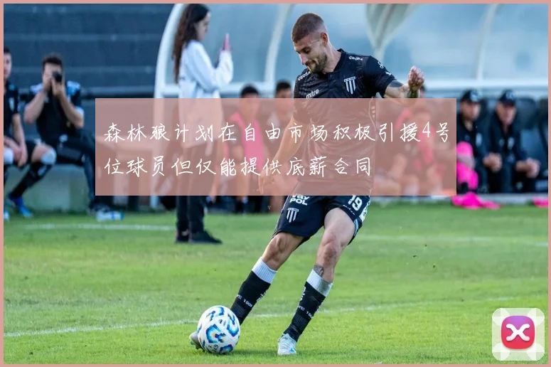 森林狼计划在自由市场积极引援4号位球员但仅能提供底薪合同